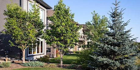 YYC Trees: "Right Tree. Right Location." Information Session