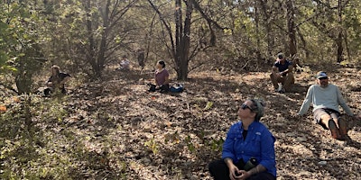 Forest Bathing on Shield Ranch primary image