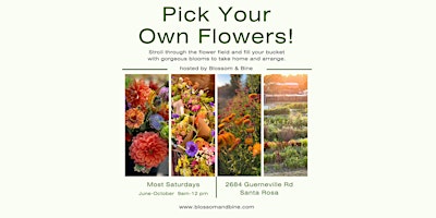 Primaire afbeelding van Pick Your Own Flowers