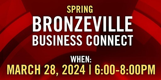 Primaire afbeelding van Bronzeville Business Connect