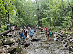 JCWA's Young Naturalist Sleepaway Camp