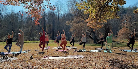 Yoga in the Park Asheville