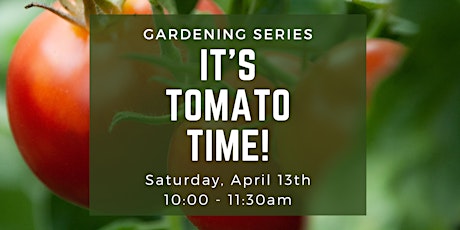 Gardening Series: It's Tomato Time!