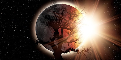 Image principale de Sacred Energy Technology  of The Full Moon Taijiquan(3 Part  Series/Hybrid)