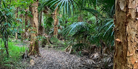 ClimateWatch Trail Guided Walk - Kawana Forest