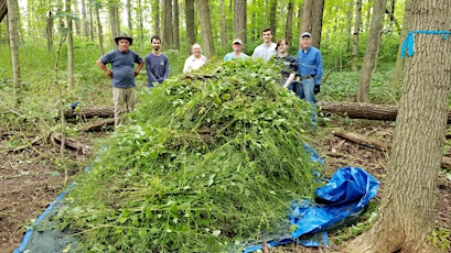 Garlic Mustard Pull at Meltzer Woods in Shelby County 4.24