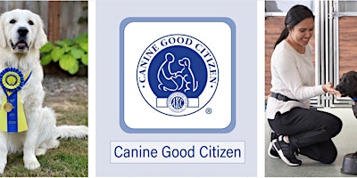 Hauptbild für AKC Canine Good Citizen (CGC) Test