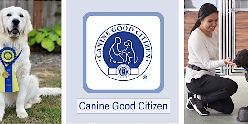 AKC Canine Good Citizen (CGC) Test  primärbild