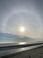 Primaire afbeelding van Whirling Rainbow Festival