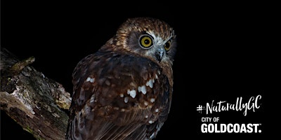 Imagem principal do evento NaturallyGC Nocturnal Natives