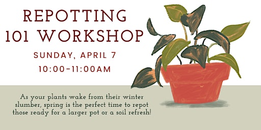 Repotting Workshop 101 primary image