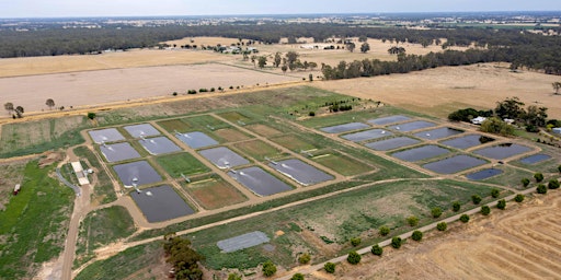 Imagem principal do evento Arcadia Hatchery Open Day