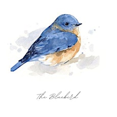 The Bluebird Album Premiere