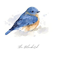 Hauptbild für The Bluebird Album Premiere