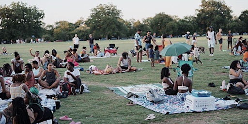 Hauptbild für Vibe in the Park