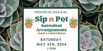 Imagen principal de Sip n Pot: Succulent Arrangement (Adult & Child Edition)