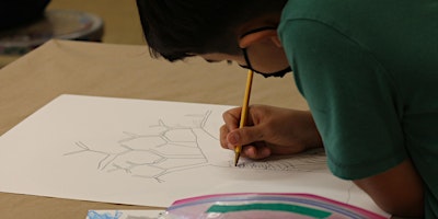 Imagen principal de Drawing: Honing Your Skills