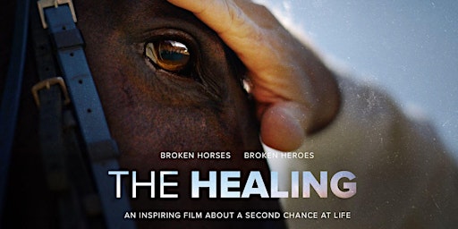 Primaire afbeelding van 'The Healing':  Broken Horses ... Broken Heroes