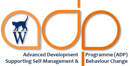 Image principale de Advanced Development Programme  Online  1