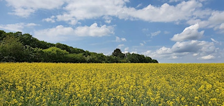 So,21.04.24  Wanderdate Singletreff Panoramaweg Cleeberg Runde für 50+