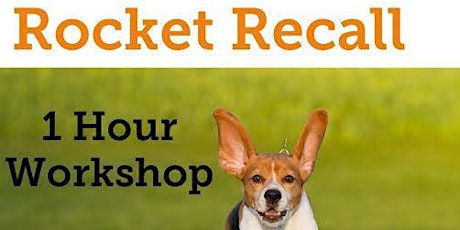 Rocket Recall Workshop primary image