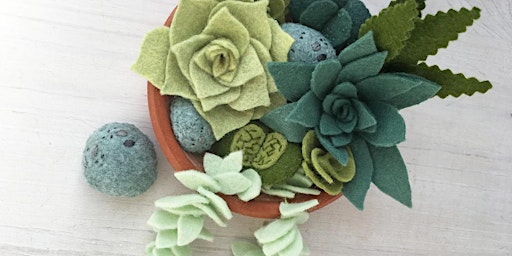 Primaire afbeelding van Felt Succulent Craft Workshop