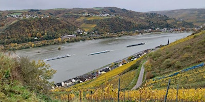 Image principale de So,28.04.24 Wanderdate Rheinsteig von Lorch nach Rüdesheim für 35-55J