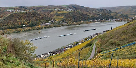 Hauptbild für So,28.04.24 Wanderdate Rheinsteig von Lorch nach Rüdesheim für 35-55J