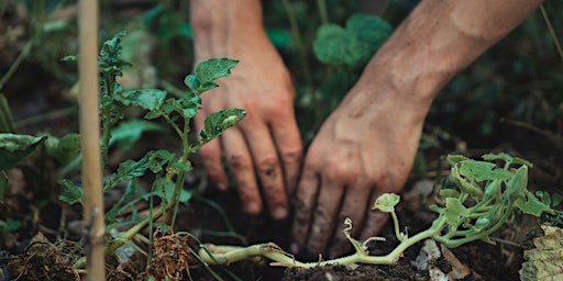 Atelier jardinage - Créer d’une jardinière de récup’ & rempoter une plante primary image