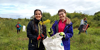 Immagine principale di Ragwort Pulling Party at Slievenacloy Nature Reserve 