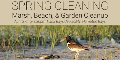 Primaire afbeelding van Spring Cleaning- Tiana Bayside  Clean Up