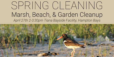 Imagen principal de Spring Cleaning- Tiana Bayside  Clean Up