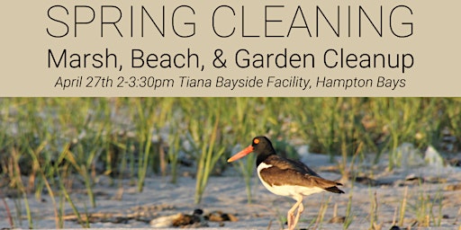 Spring Cleaning- Tiana Bayside  Clean Up  primärbild