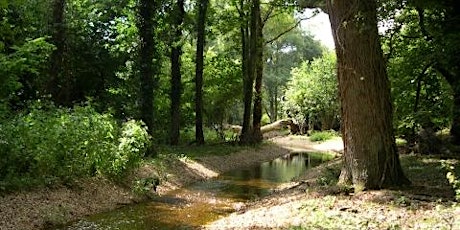 Blashford Lakes: Family River Dipping