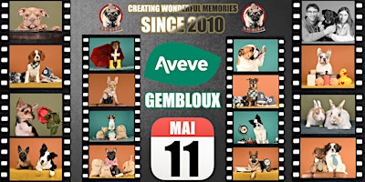 Primaire afbeelding van AVEVE GEMBLOUX SHOOTING PHOTO