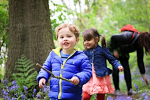 Primaire afbeelding van Wild Spring Adventure at Brockholes Nature Reserve - 4th April 2024 (1pm-3pm)