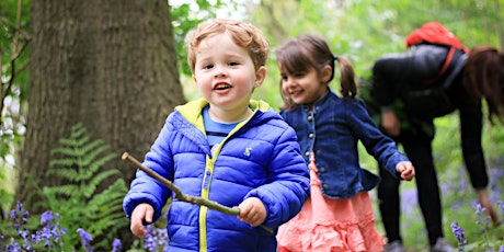 Wild Spring Adventure at Mere Sands Wood Nature Reserve - 3rd April 2024 (1pm-3pm)