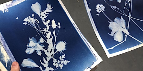 Cyanotype Workshop at Forest