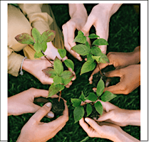 Imagem principal de Growing and propagating healthy plants workshop