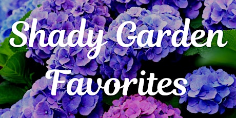 Shady Garden Favorites