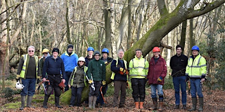 Hauptbild für Epping Forest Lend a Hand Day - Conservation Task Chingford