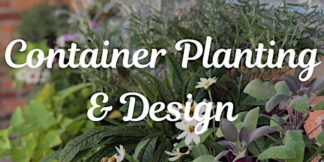 Container Planting & Design