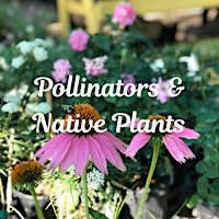 Imagem principal do evento Pollinators & Native Plants