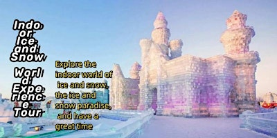 Image principale de Indoor Ice and Snow World Experience Tour