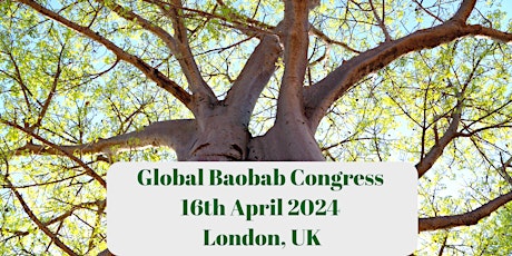 Global Baobab Congress 2024