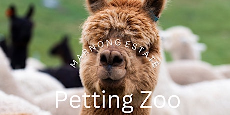 Marnong Estate Petting Zoo!  Sun 21st April 2024