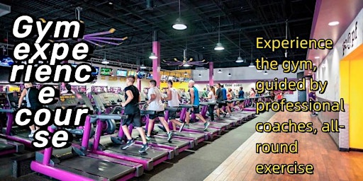 Gym experience course  primärbild