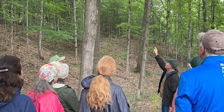 Forest Ecology Woodland Walk at Frost Valley Model Forest