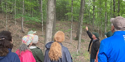 Hauptbild für Forest Ecology Woodland Walk at Frost Valley Model Forest