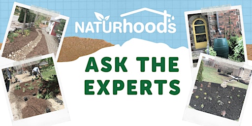 Ask the Experts - Mini Consultations for a Greener Home primary image